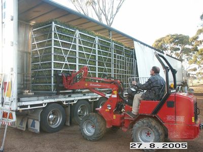 exceptional-production-tree-seedling-nursery-21-hectare-property-with-2-houses-7