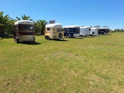 australian-horse-floats-for-sale-2
