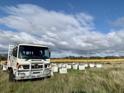asset-based-small-scale-commercial-beekeeping-opportunity-for-sale-9
