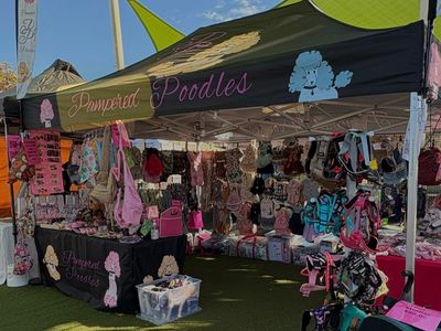 turnkey-market-stall-business-for-sale-8