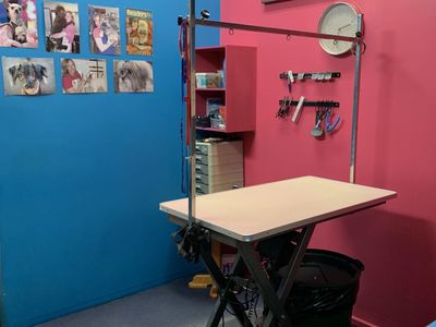 dog-grooming-salon-and-pet-boutique-2