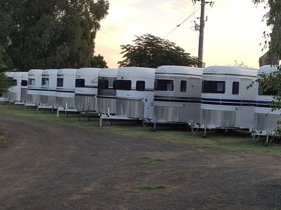 australian-horse-floats-for-sale-0