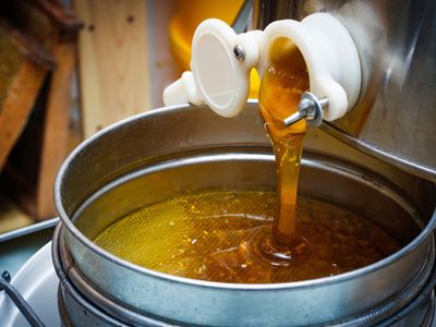 australian-honey-brand-major-retail-distribution-profitable-amp-growing-3