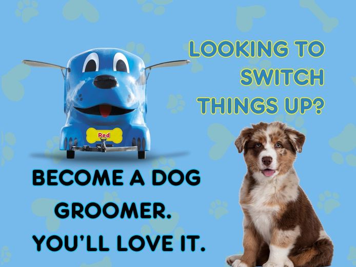 mobile-dog-grooming-business-with-big-blue-dog-grooming-trailer-ready-to-go-0