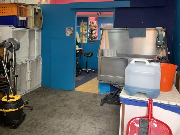 dog-grooming-salon-and-pet-boutique-5