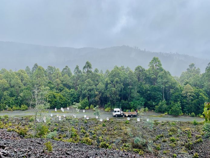 asset-based-small-scale-commercial-beekeeping-opportunity-for-sale-6