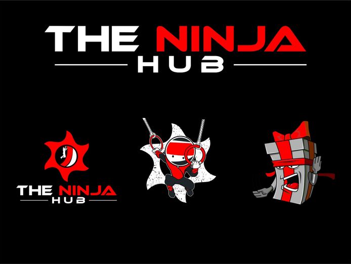 the-ninja-hub-ninja-warrior-training-play-and-parties-0