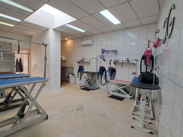 long-established-thriving-pet-grooming-salon-in-a-prime-location-7