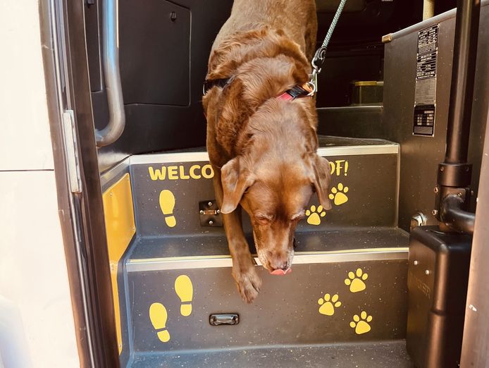 pooch-n-peeps-8