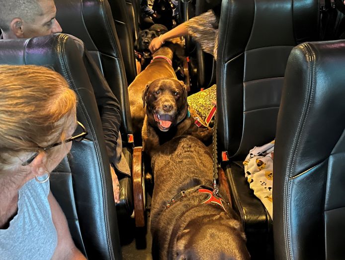pooch-n-peeps-2