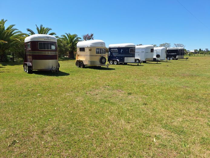 australian-horse-floats-for-sale-2