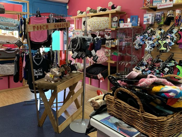 dog-grooming-salon-and-pet-boutique-6