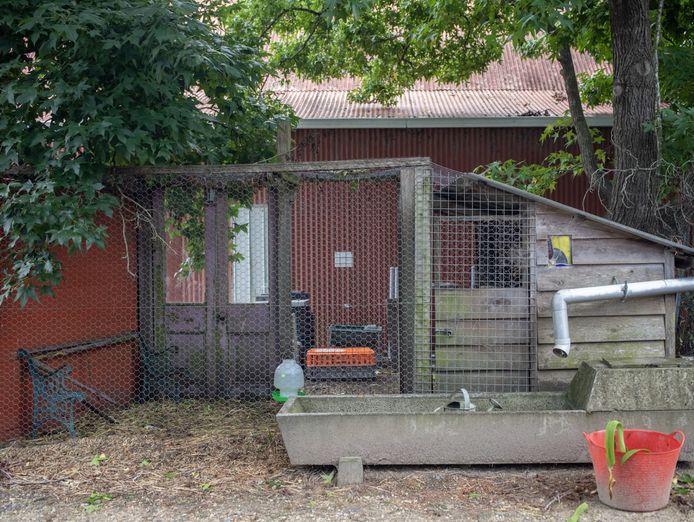 kangaroo-valley-rural-supplies-9