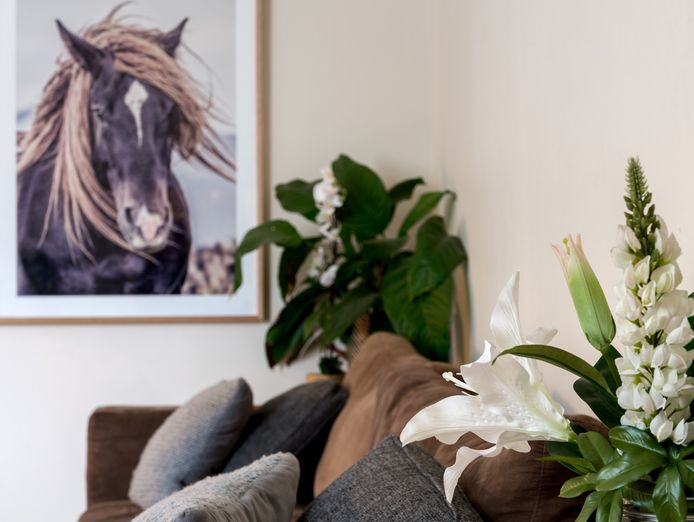 fully-equipped-turnkey-redfern-pt-studio-seperate-3-bed-apartment-9
