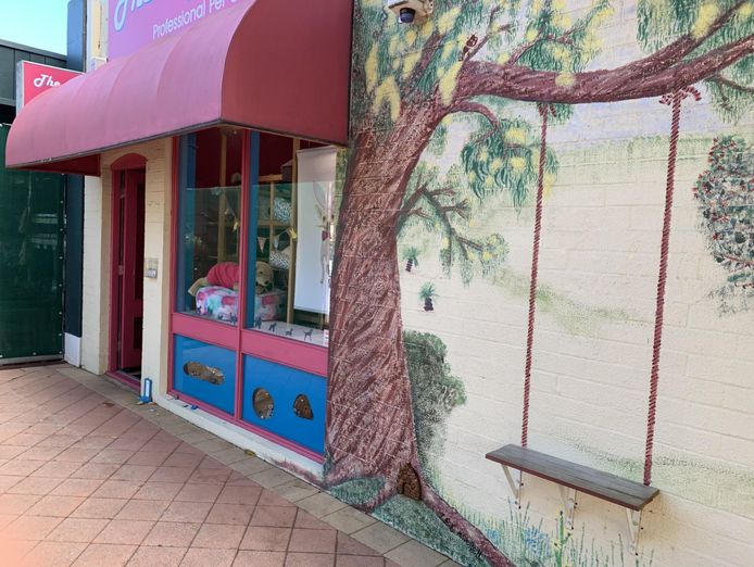 dog-grooming-salon-and-pet-boutique-1
