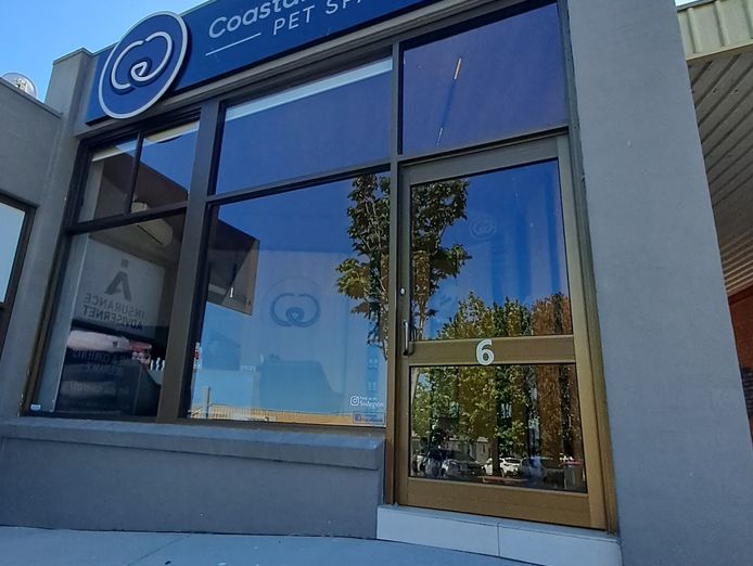 long-established-thriving-pet-grooming-salon-in-a-prime-location-0