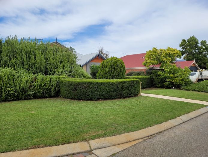 established-gardening-business-with-huge-potential-0