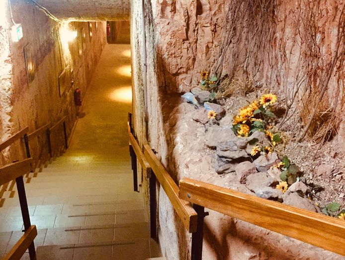 radekas-downunder-motel-2