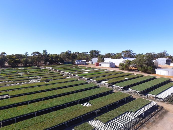 exceptional-production-tree-seedling-nursery-21-hectare-property-with-2-houses-0