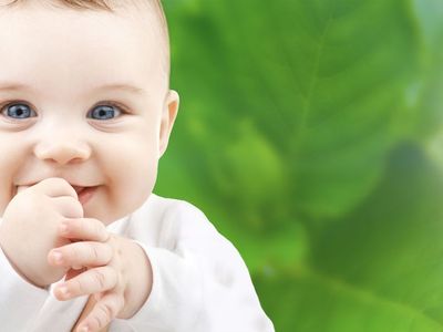 group-3-childcare-centres-1-ldc-2-oshc-for-sale-995k-0
