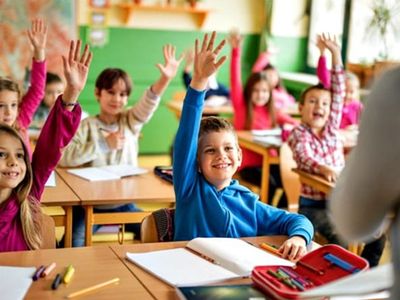 unique-import-wholesale-distribution-and-online-school-products-business-424-0