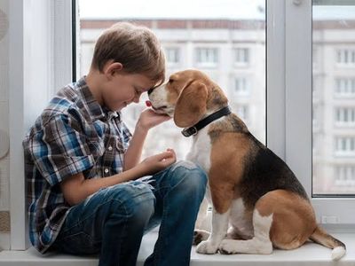 online-pet-product-wholesaler-distributor-and-supplier-438-3
