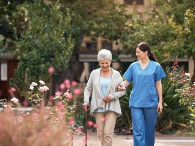 well-established-ndis-disability-registered-in-home-care-services-business-386-2