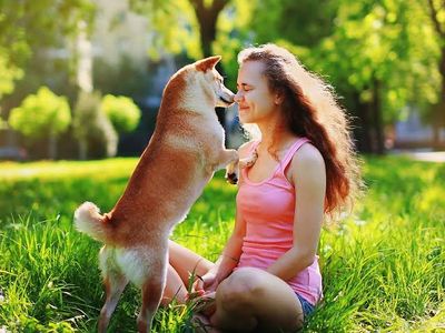 online-pet-product-wholesaler-distributor-and-supplier-438-3