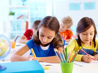 unique-import-wholesale-distribution-and-online-school-products-business-424-2