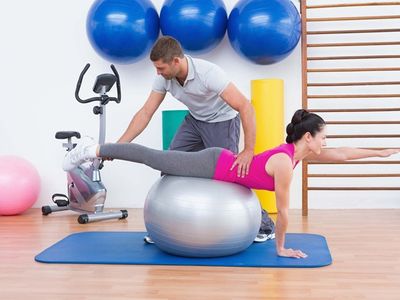 large-se-qld-renowned-unique-physiotherapy-service-378-1