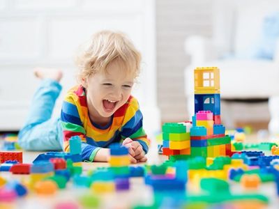 large-national-toy-product-importer-wholesaler-distributor-381-0