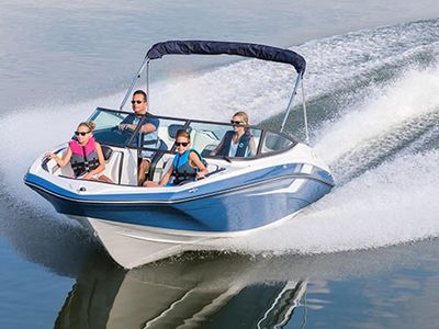 unique-and-diverse-marine-product-provider-376-1