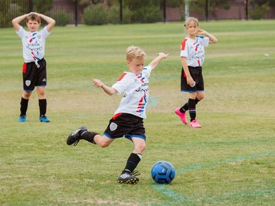 niche-market-sports-product-apparel-and-equipment-outlet-online-webstore-411-1