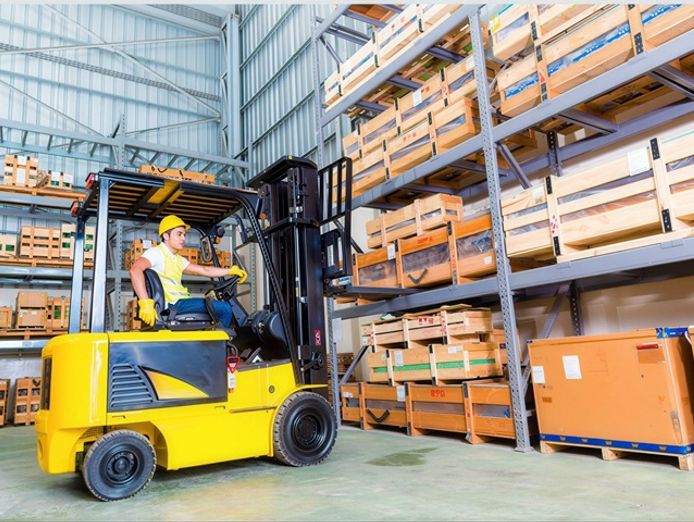 large-national-toy-product-importer-wholesaler-distributor-381-3