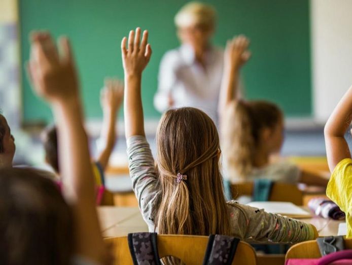 unique-import-wholesale-distribution-and-online-school-products-business-424-0