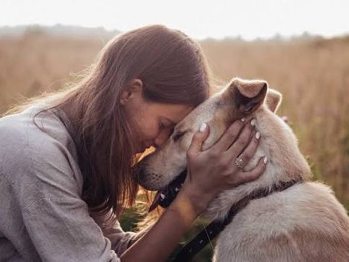 online-pet-product-wholesaler-distributor-and-supplier-438-1