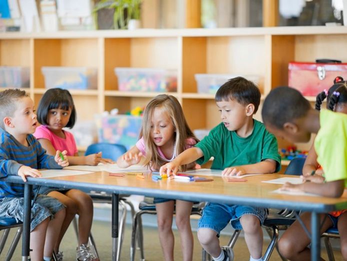 unique-import-wholesale-distribution-and-online-school-products-business-424-2