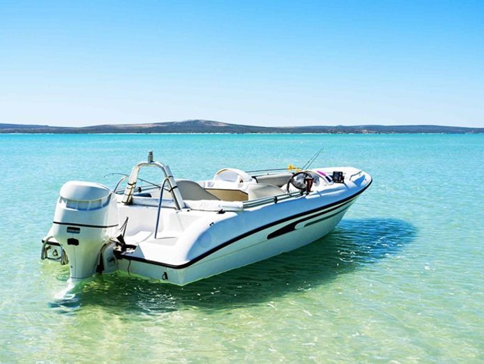 unique-and-diverse-marine-product-provider-376-0