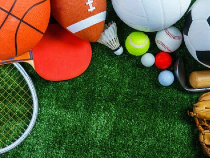 Importer, Wholesaler/Distributor Online Supplier Sporting Apparel