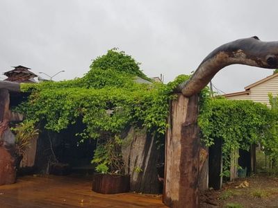 hospitality-business-for-sale-bunya-nut-caf-amp-scrubby-creek-bar-blackbutt-qld-2