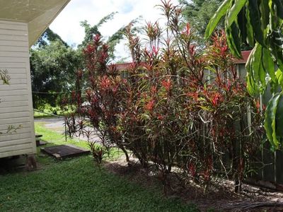 prime-hotel-business-opportunity-mirriwinni-qld-8