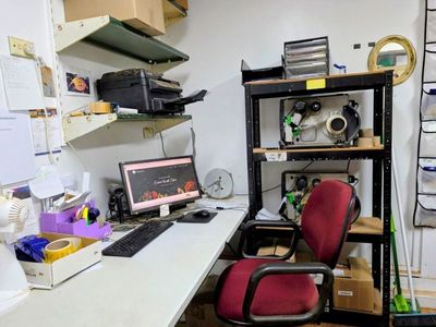 wholesale-on-line-business-quot-entice-with-spice-quot-2