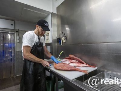 business-with-bite-7