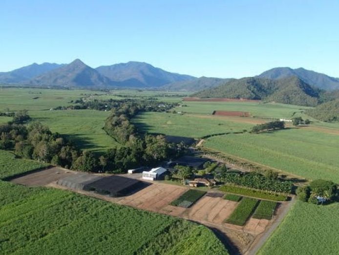 prime-rural-business-opportunity-tropical-north-queensland-5