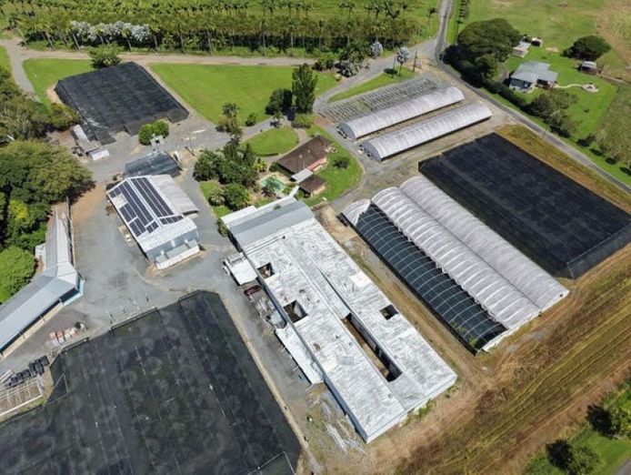 prime-rural-business-opportunity-tropical-north-queensland-3