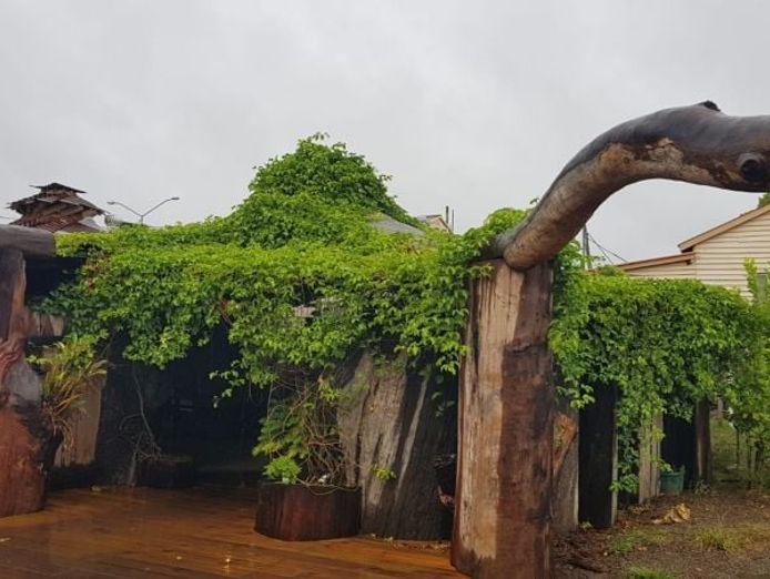 hospitality-business-for-sale-bunya-nut-caf-amp-scrubby-creek-bar-blackbutt-qld-2