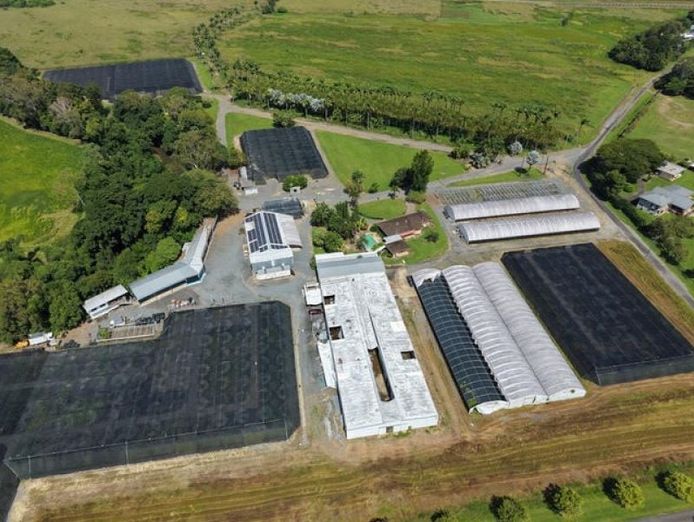 prime-rural-business-opportunity-tropical-north-queensland-1