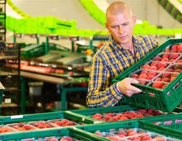 MAKE $360,000 A YEAR FROM THIS FRUIT & VEG WHOLESALE BUSINESS - 2 MIL INCLUDING