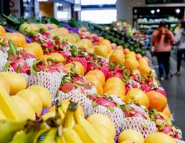 Fresh Fruit & Vegetables Retail Store for Sale / Brisbane Southside