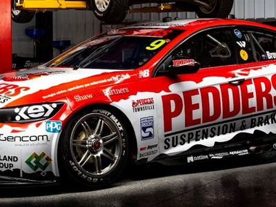 pedders-franchise-for-sale-join-a-growing-automotive-business-40mins-from-sydne-0